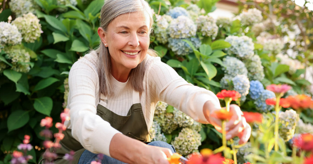 Older woman cutting flowers in her garden